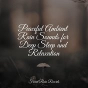 Peaceful Ambient Rain Sounds for Deep Sleep and Relaxation