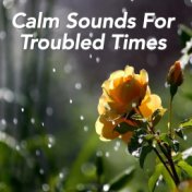 Calm Sounds For Troubled Times