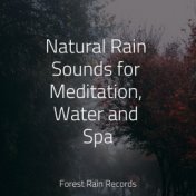 Natural Rain Sounds for Meditation, Water and Spa