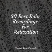 30 Best Rain Recordings for Relaxation