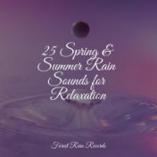 25 Spring & Summer Rain Sounds for Relaxation