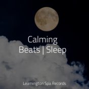 Calming Beats | Sleep