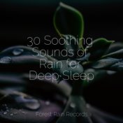 30 Soothing Sounds of Rain for Deep Sleep