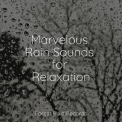 Marvelous Rain Sounds for Relaxation