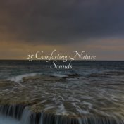 25 Comforting Nature Sounds