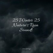 25 Winter 25 Nature's Rain Sounds