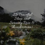 25 Peaceful Sleep and Serenity Rain & Thunderstorms