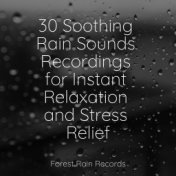 30 Soothing Rain Sounds Recordings for Instant Relaxation and Stress Relief