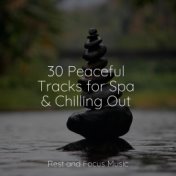 30 Peaceful Tracks for Spa & Chilling Out
