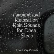Ambient and Relaxation Rain Sounds for Deep Sleep