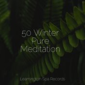 50 Winter Pure Meditation