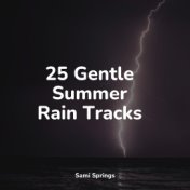25 Gentle Summer Rain Tracks