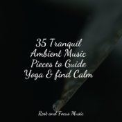 35 Tranquil Ambient Music Pieces to Guide Yoga & find Calm