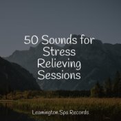 50 Sounds for Stress Relieving Sessions