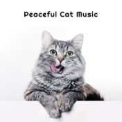 Peaceful Cat Music: Help Your Cat Relaxation and Fall Asleep