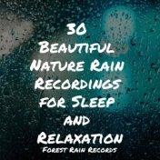 30 Beautiful Nature Rain Recordings for Sleep and Relaxation