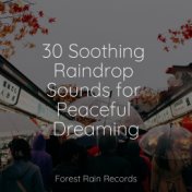 30 Soothing Raindrop Sounds for Peaceful Dreaming