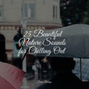 25 Beautiful Nature Sounds for Chilling Out