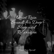 Quiet Rain Sounds for Deep Sleep and Relaxation