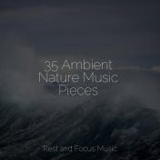35 Ambient Nature Music Pieces