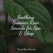 Soothing Summer Rain Sounds for Spa & Sleep