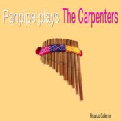 Panpipe Plays The Carpenters
