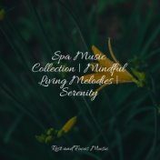 Spa Music Collection | Mindful Living Melodies | Serenity