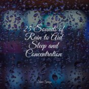 25 Sounds of Rain to Aid Sleep and Concentration