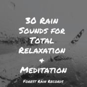 30 Rain Sounds for Total Relaxation & Meditation