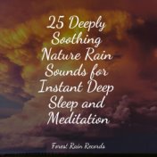 25 Deeply Soothing Nature Rain Sounds for Instant Deep Sleep and Meditation