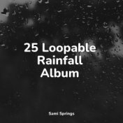 25 Loopable Rainfall Album