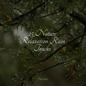 25 Nature Relaxation Rain Tracks