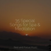 35 Special Songs for Spa & Meditation