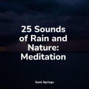 25 Sounds of Rain and Nature: Meditation