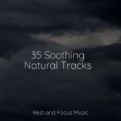 35 Soothing Natural Tracks