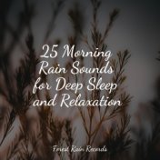 25 Morning Rain Sounds for Deep Sleep and Relaxation