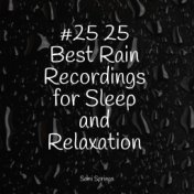 #25 25 Best Rain Recordings for Sleep and Relaxation