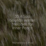 35 A Spa Sounds Winter Melodies for Inner Peace