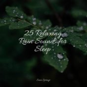 25 Relaxing Rain Sounds for Sleep