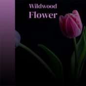 Wildwood Flower