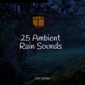 25 Ambient Rain Sounds