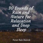 30 Sounds of Rain and Nature for Relaxation and Deep Sleep