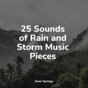 25 Sounds of Rain and Storm Music Pieces