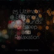 25 Ultimate Summer Rain Sounds for Sleep and Relaxation