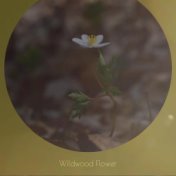 Wildwood Flower