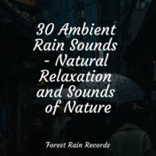 30 Ambient Rain Sounds - Natural Relaxation and Sounds of Nature