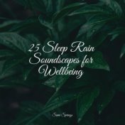 25 Sleep Rain Soundscapes for Wellbeing