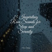 25 Inspiriting Rain Sounds for Sleep and Serenity