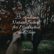 25 Ambient Nature Sounds for Meditation and Sleep