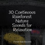 30 Continuous Rainforest Nature Sounds for Relaxation